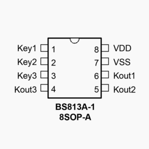 BS813A-1 Schematic